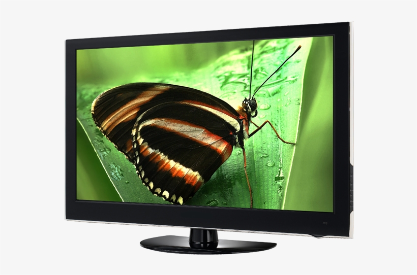 Homepage-tv - Lcd Tv Png, transparent png download