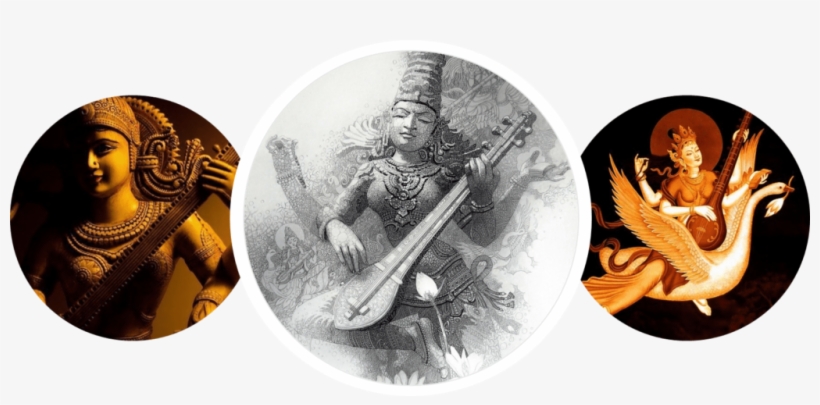 The Training Program - Coin, transparent png download