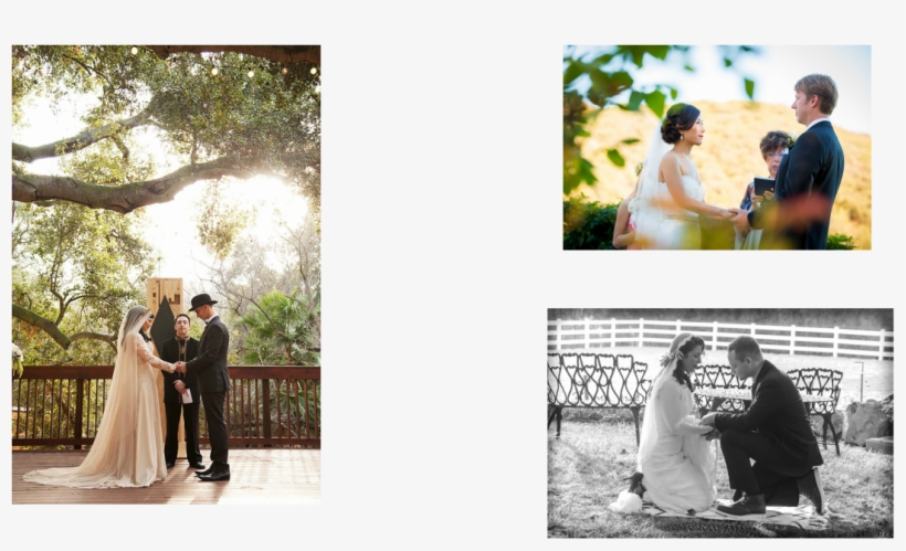Wedding Hands Png, transparent png download
