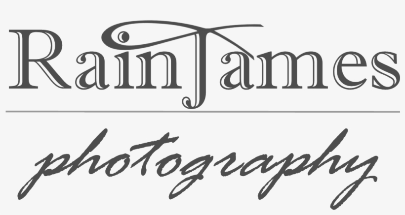 Rain James Photography - Sandwich Clip Art, transparent png download