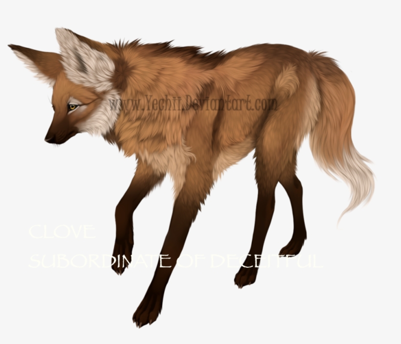 Clove - Maned Wolf, transparent png download