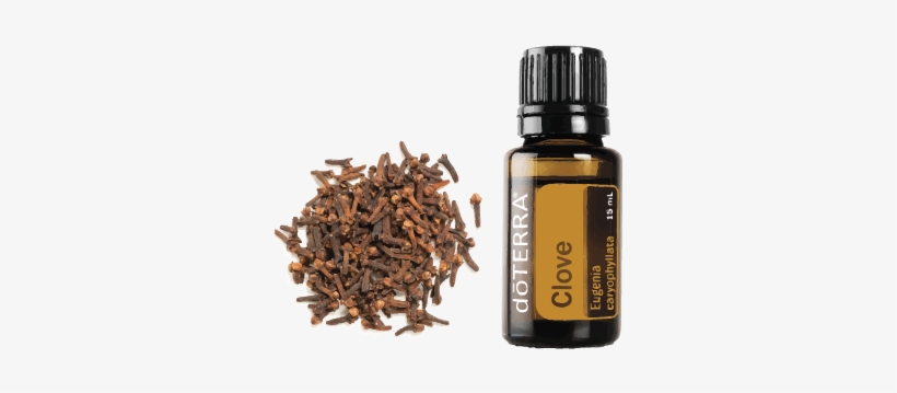 Doterra Serenity Restful Blend Essential Oil 15ml, transparent png download