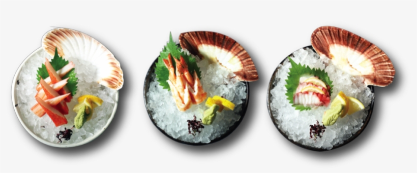 Sashimi, transparent png download