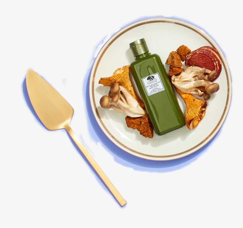 Shop Now - Dish, transparent png download