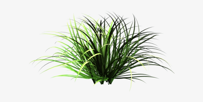 Daisy Clipart Patch Grass - Patch Of Grass Png, transparent png download