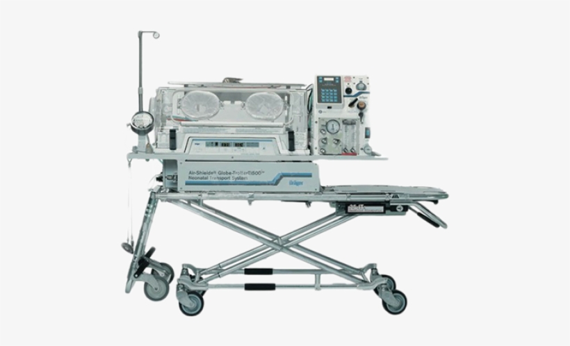 Collection Pawe Batyra Array - Ti 500 Globe Trotter, transparent png download