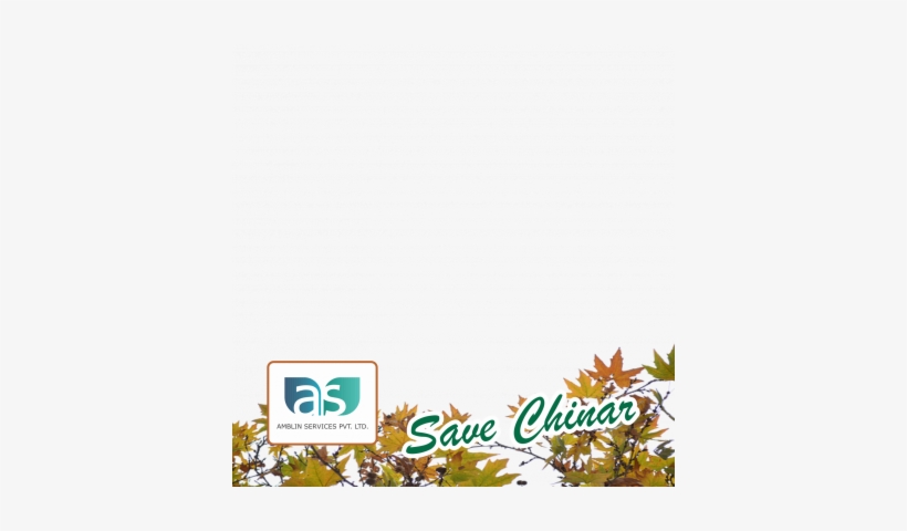 Preview Overlay - Choice School, transparent png download