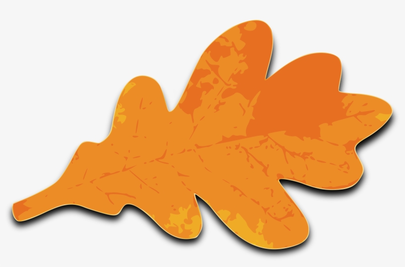 Maple Leaf Clip Art - Oak Leaves Clip Art, transparent png download