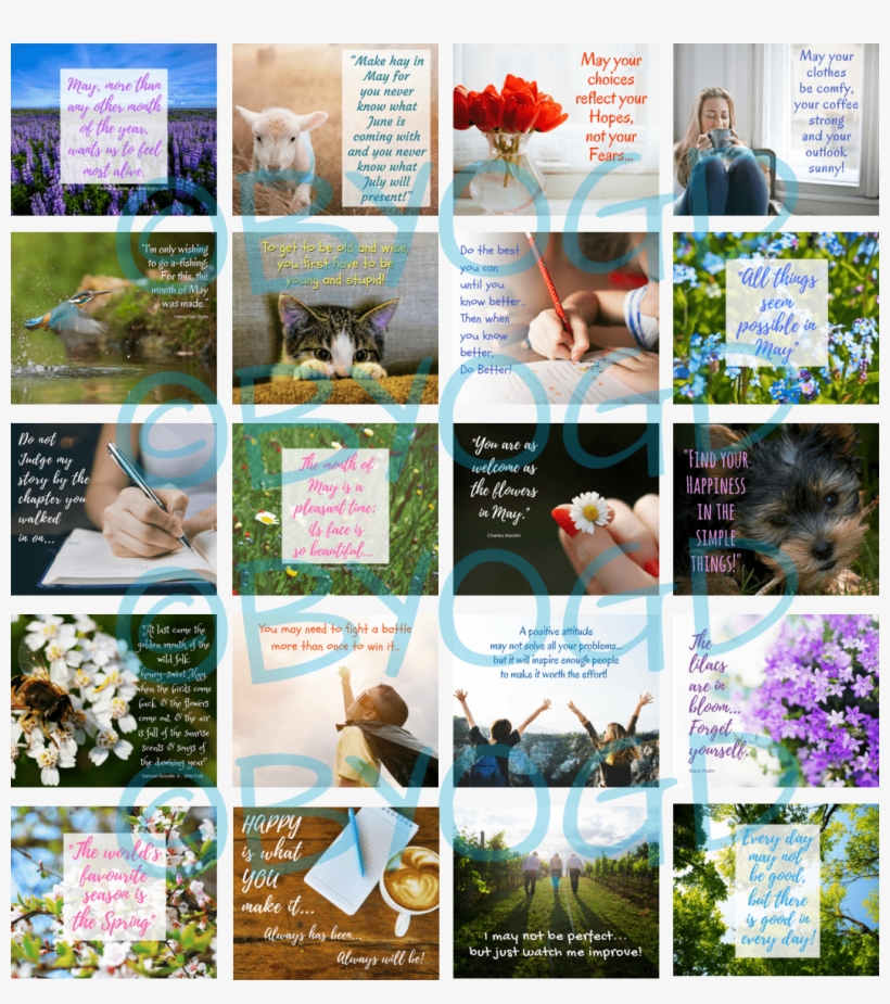 20 Ready-made January Social Media Quotes - Composition Book, College Ruled Writing Notebook Journal, transparent png download