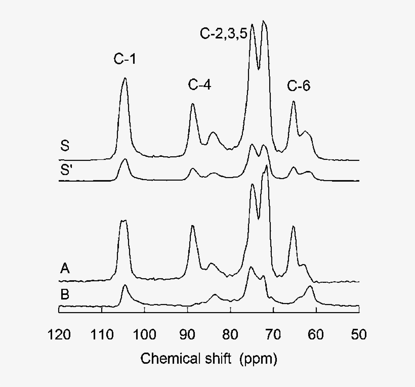 Sol#state 13 C Nmr Spectra Of Activated Cellulose - Common Fig, transparent png download