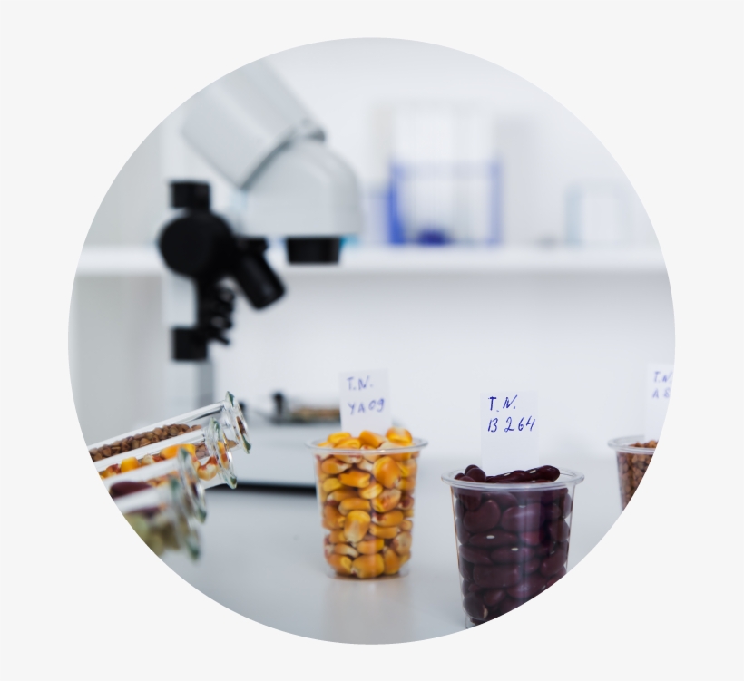 Join Us To Hear From Mark Lynas, World Renowned Author - Laboratory, transparent png download