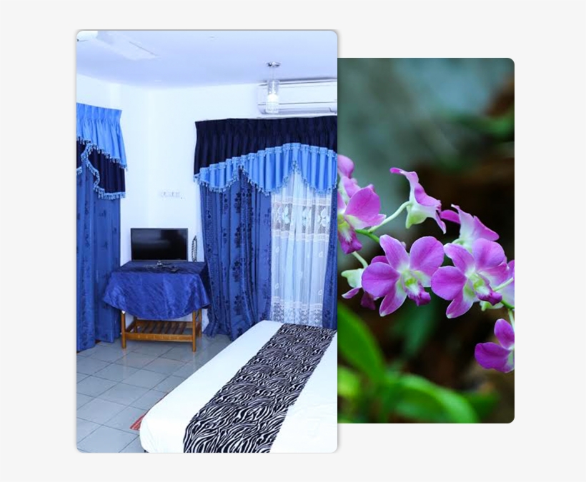 No Image - Window Blind, transparent png download