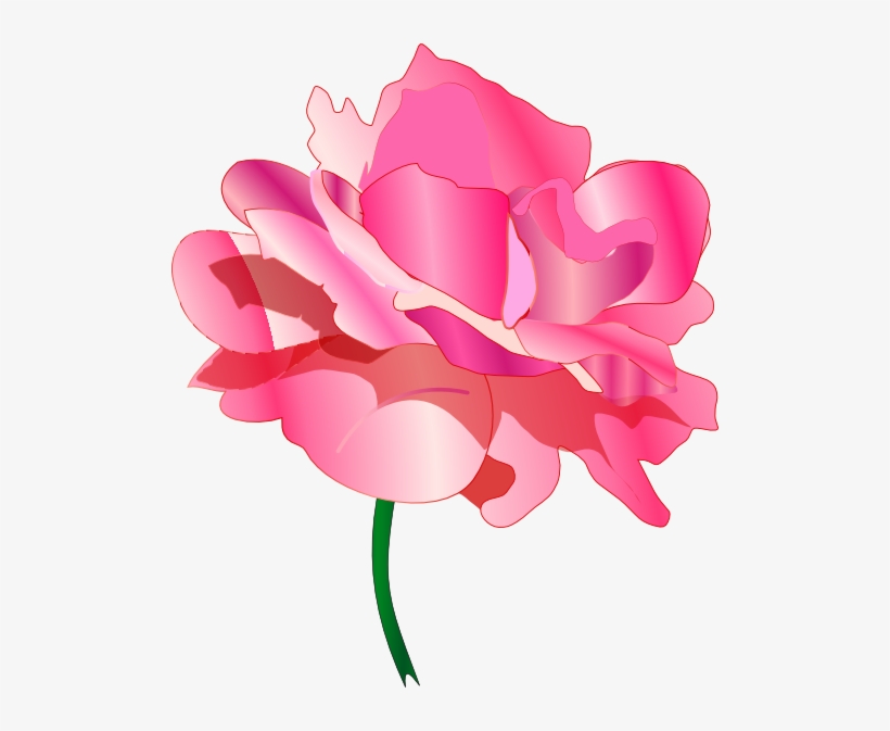 Pink Rose No Shadow Clipart Png For Web, transparent png download