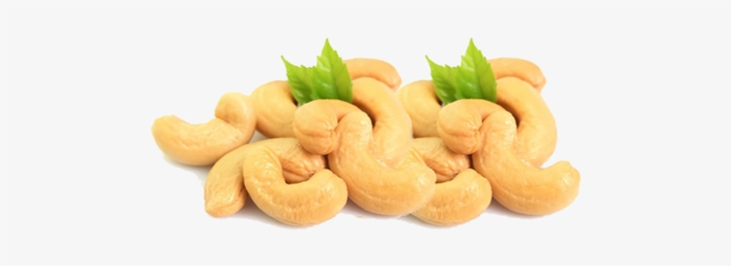 Fuzzy Cashew Nut Grade W180 - Cashewnut Png, transparent png download