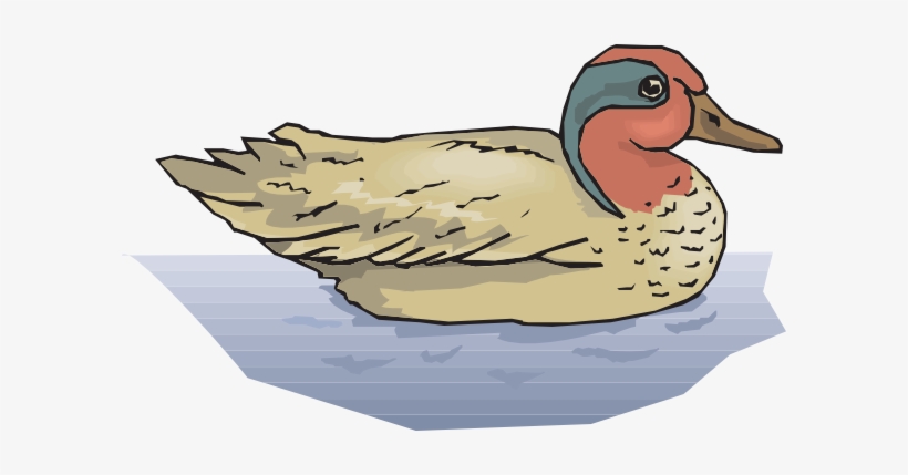 Duck - Clip Art Png Duck, transparent png download