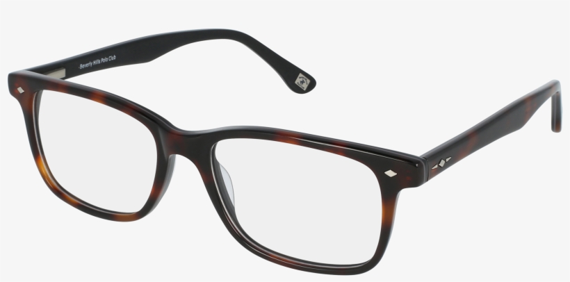 Beverly Hills Polo Club Bhpc 69 Men's Eyeglasses - Beverly Hills Polo Club Glases, transparent png download