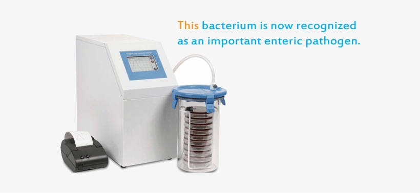 Anaerobic Jar - Anaerobic Work Station, transparent png download