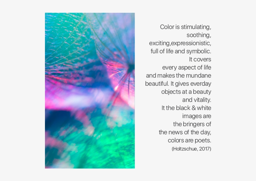 What Is Color - Custom Canvas Gallery Wrap Wall Art - Panoramic, transparent png download
