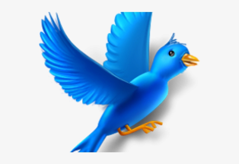 Flyingbird Png, transparent png download