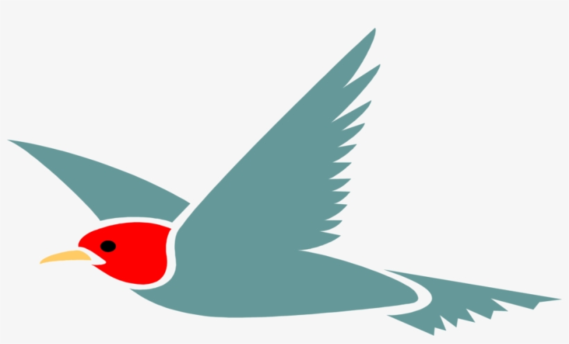 All Images From Collection - Bird, transparent png download