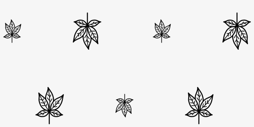 Black, And, White, Invertebrate, Leaf, Insect, - Stock.xchng, transparent png download