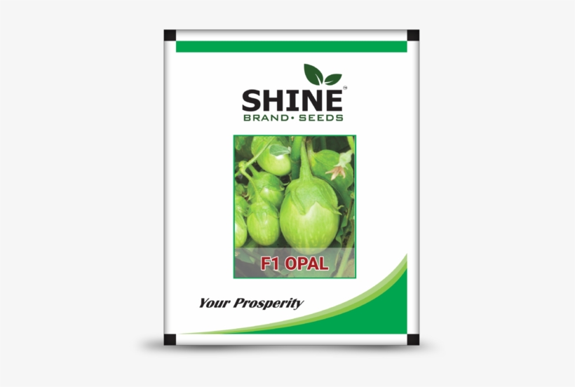 Hybrid Brinjal Seeds - F1 Opal Brinjal, transparent png download