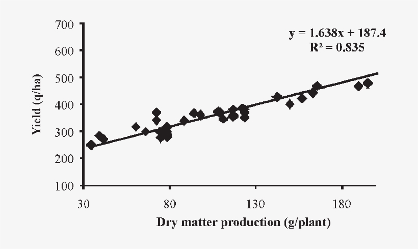 Relationship Between Dry Matter And Yield Of Brinjal - Animal, transparent png download