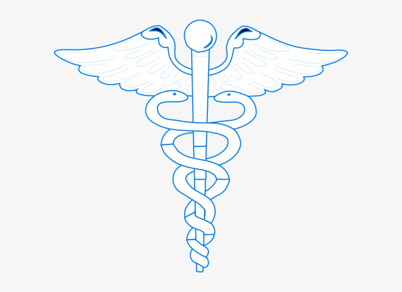 Aesculapian Staff Journal (medical Symbol), transparent png download