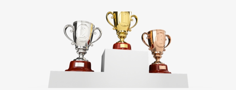 Esther Phillips On Her Nifca And Gg's Awards - Prize Giving Png, transparent png download