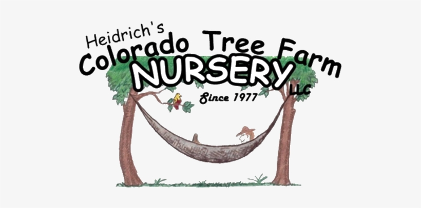 Heidrich's Colorado Tree Farm Nursery - Colorado, transparent png download