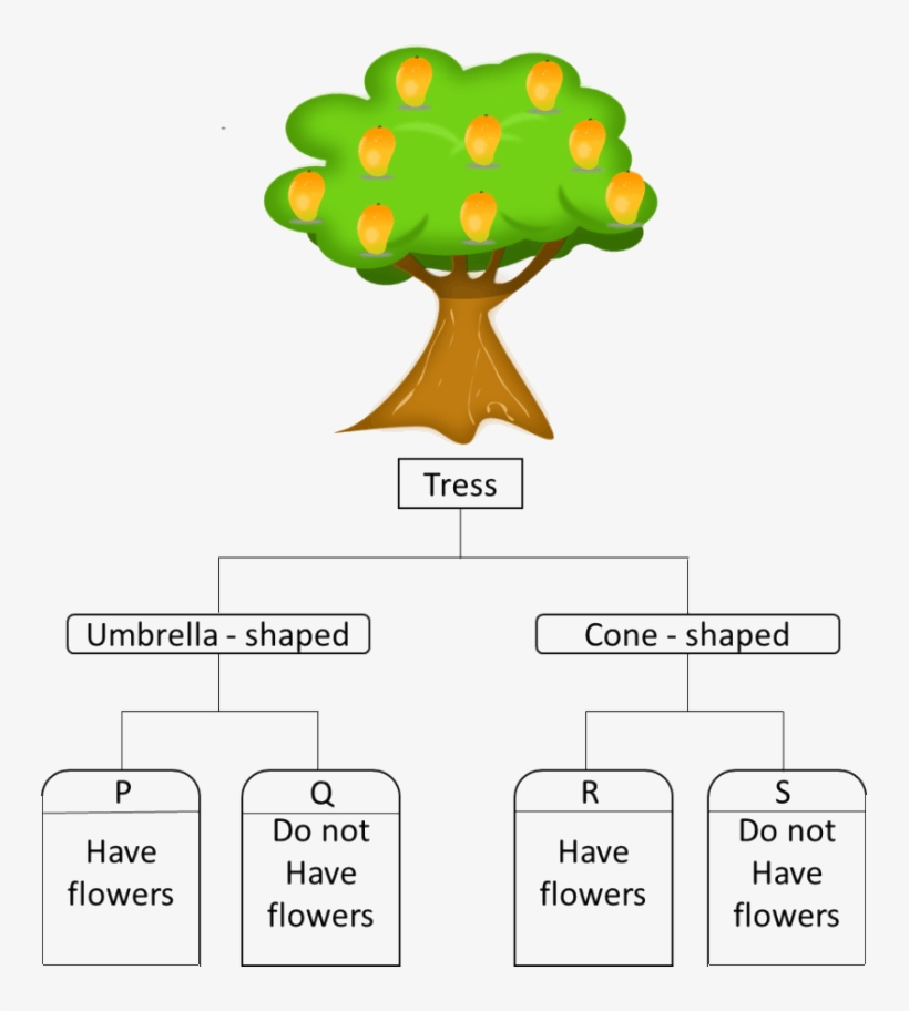 Look At The Picture Of The Tree - Tree Animated Clip Art, transparent png download