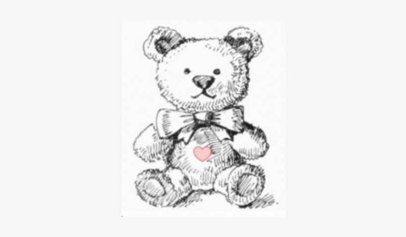 Valentine's Teddy Bear Tea - 地域と職場で支える被災地支援: 心理学にできること, transparent png download