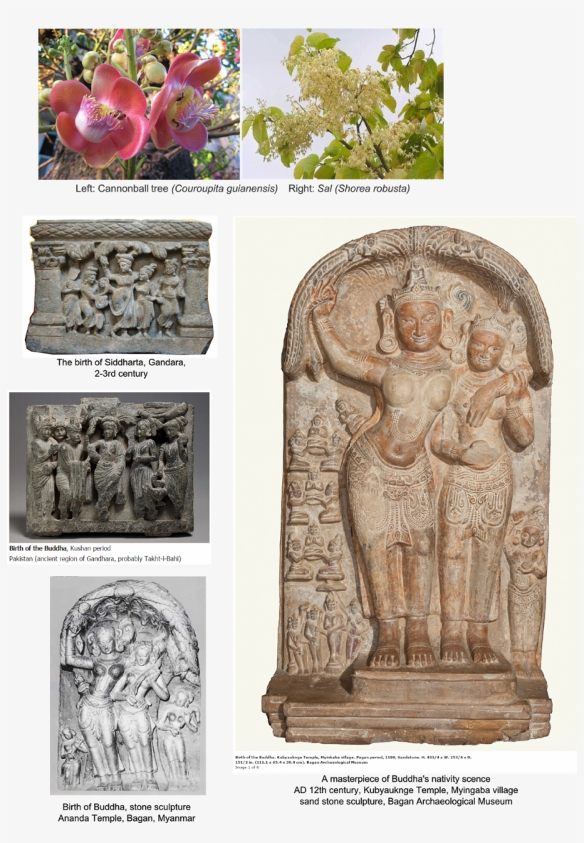 In Asoka A Cultural And Scientific Evauation, 1972, - Birth Of The Buddha, transparent png download