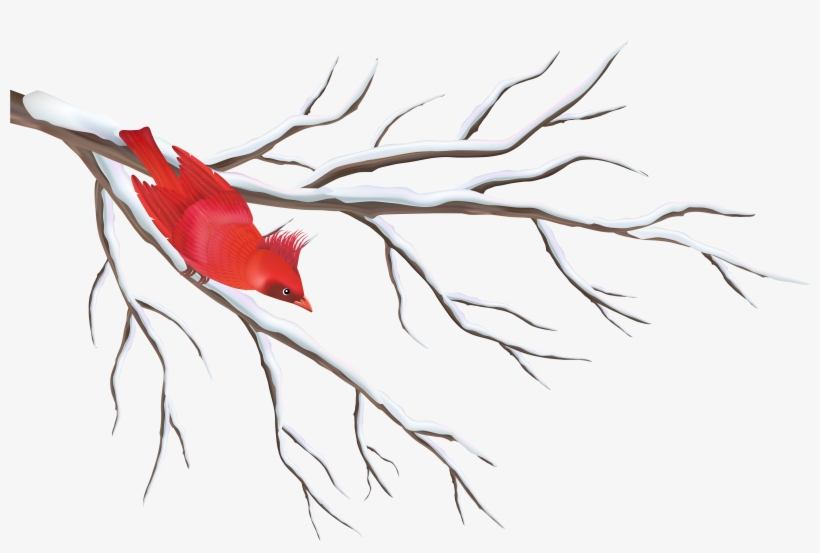 Winter Branch With Bird Png Clipart Image - Winter Branches Clip Art, transparent png download