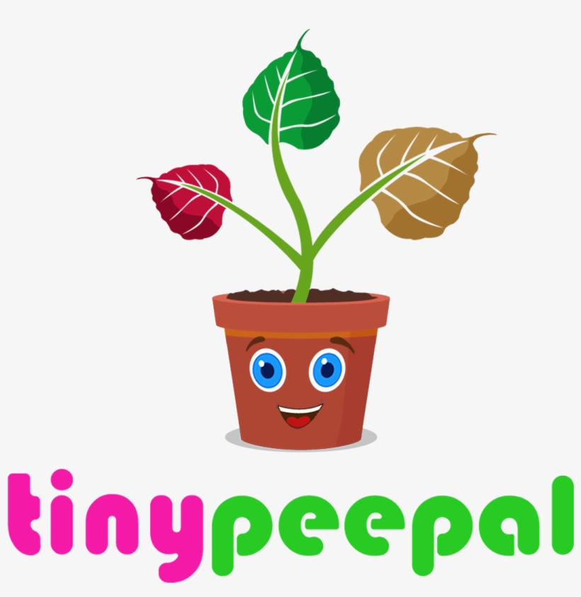Peepal Has Its Roots In The Wisdom Of The East - Philly Special Play Drawing, transparent png download
