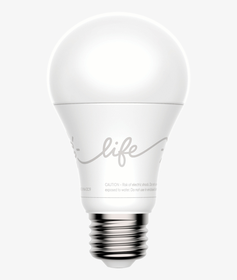 Affordable Meet More Of The Family Clife And Csleep - Incandescent Light Bulb, transparent png download
