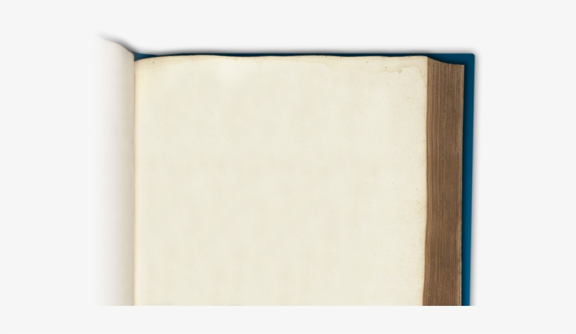 Page 1480 - Plywood, transparent png download