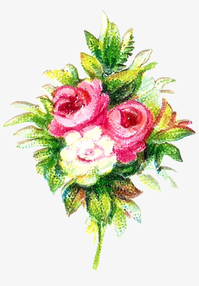 5flowerpng - Rose, transparent png download