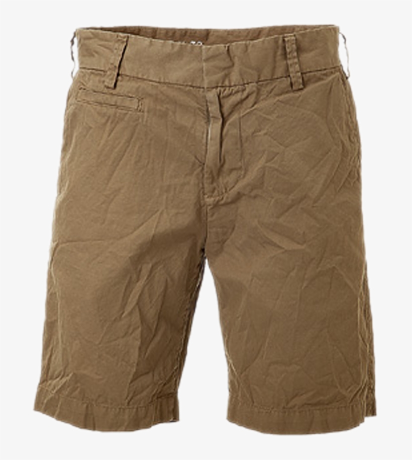 Bermudas - Sports, transparent png download