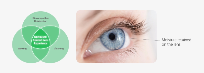 Product Information - Religious Eye Opener [book], transparent png download