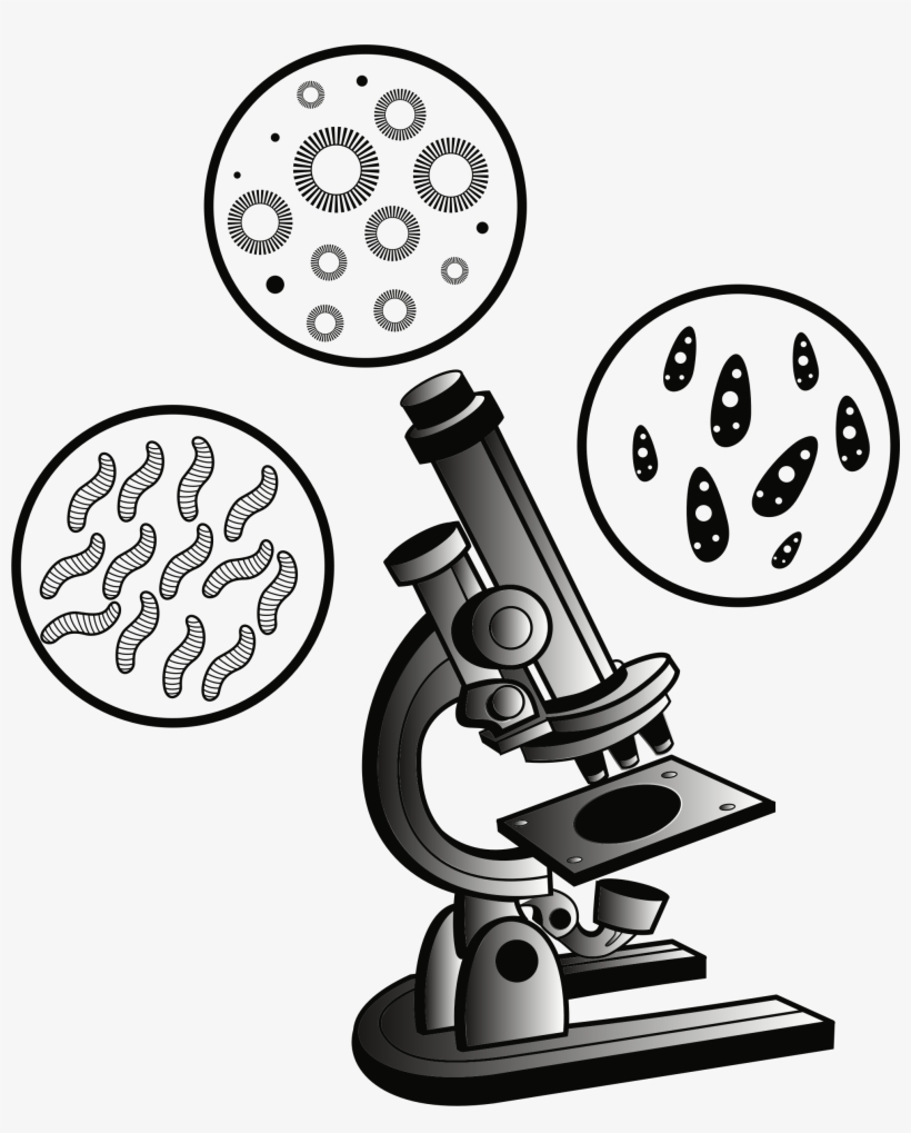 Big Image - Microscope Clipart, transparent png download