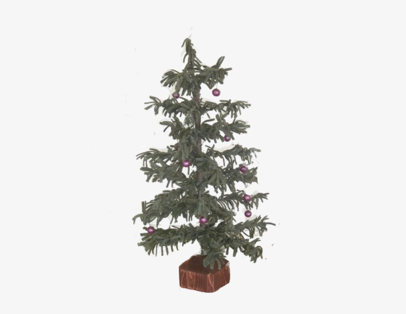 Mary Returns To Our Studio To Instruct You "how" To - Christmas Tree, transparent png download