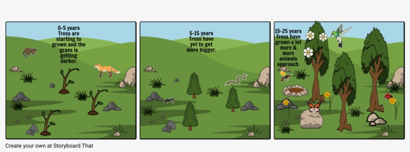 Cristian Gamino Storyboard - Seed Tree, transparent png download