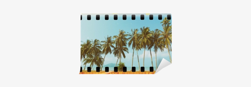 Palm Trees At Tropical Coast, Vintage Toned And Film - Film, transparent png download