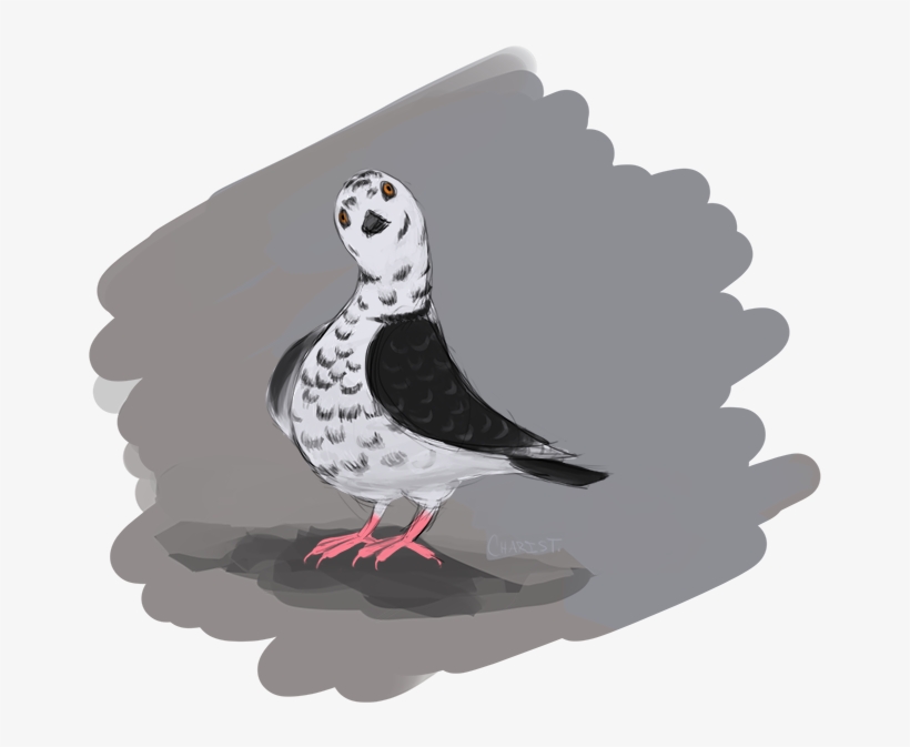 “ Pigeon Doodle ” - Doodle, transparent png download