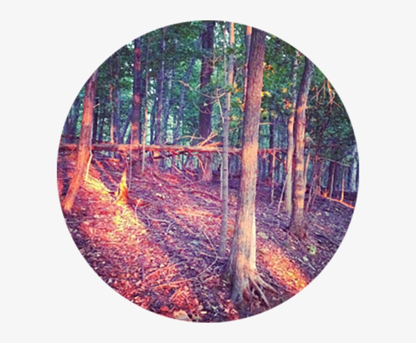 Then Came The Morning Like A Light Through The Tress - Meditation, transparent png download