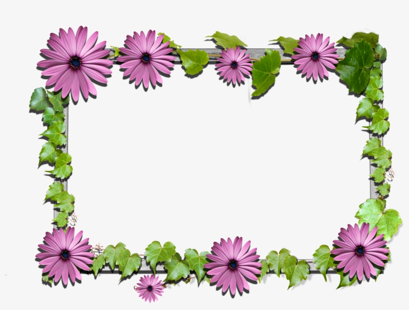 Flowers Frame, transparent png download