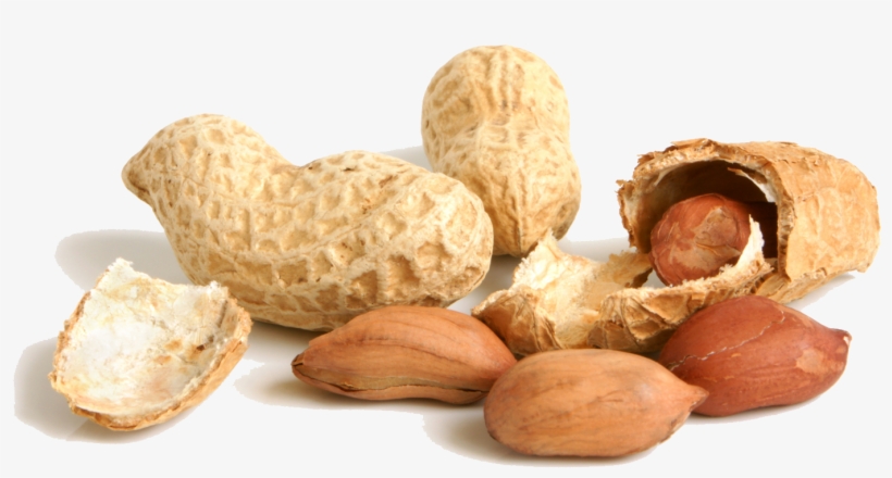 Peanut Png File - Transparent Background Peanut Png, transparent png download