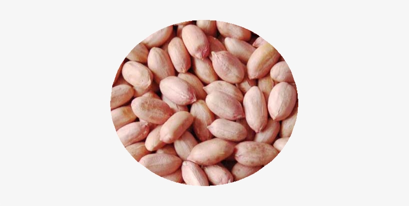 Groundnut-seeds - Dried Peanut, transparent png download