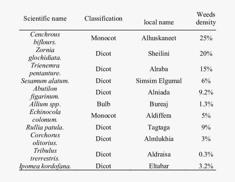Weeds And Their Relative Density Of Non Weeded Groundnut - Relative Density, transparent png download